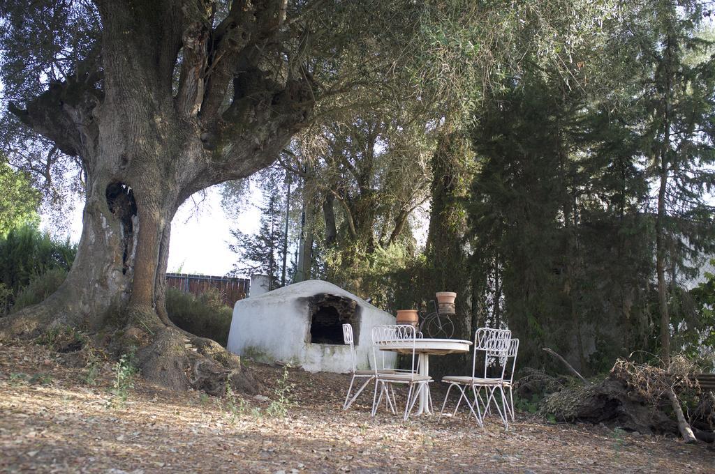 De La Ermita Villa *